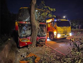 桃园育达高中校车撞上路树 驾驶学生8人轻重伤送医