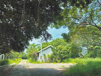 大甲美人山舊營區 2階段活化