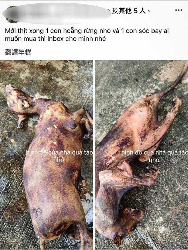 蔡女在脸书上公然贩售山羌屠体，吸引附近移工上门，行径十分嚣张。（图／翻摄画面）