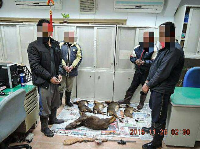 部分無良獵人會潛入山區打獵，再將獵物販售，又因罰則輕微讓他們肆無忌憚。（示意圖／報系資料照）