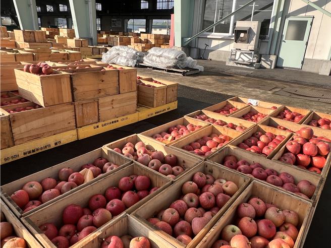 全日本輸出海外的蘋果中，有9成都來到台灣，其中又以富士蘋果最大宗。（吳奕萱攝）