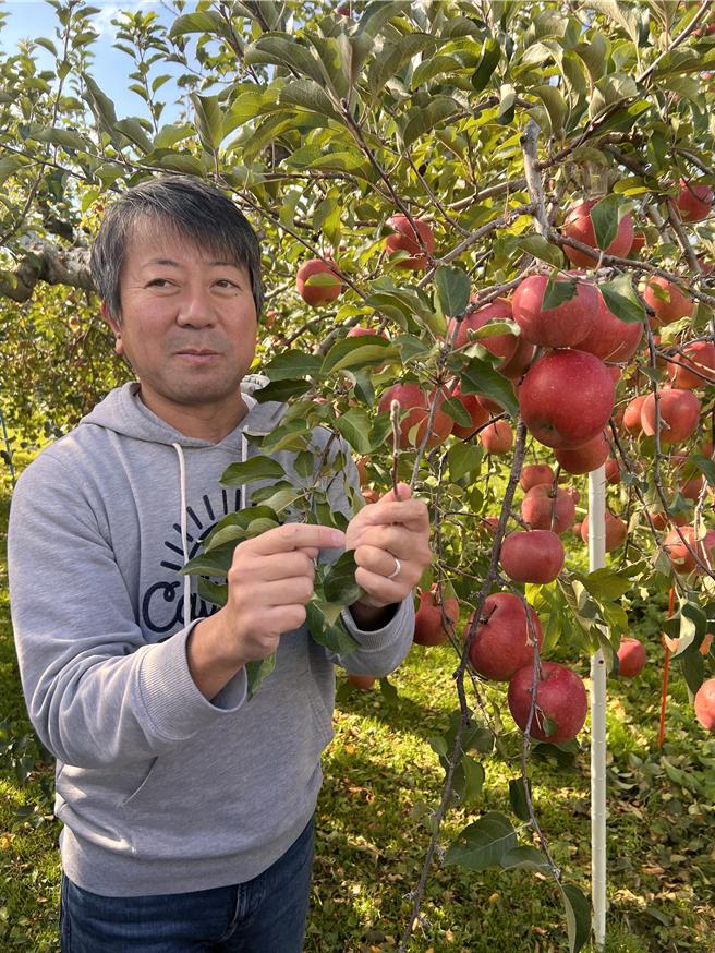 青森弘前市農家高橋先生表示，如何讓青森蘋果種植延續下去，克服缺工等問題是當務之急。（吳奕萱攝）