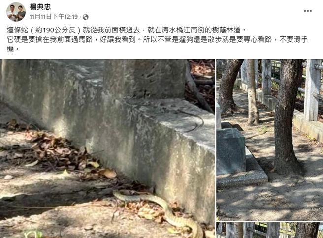 楊典忠分享遇到蛇的過程。（楊典忠提供／李京昇台中傳真）