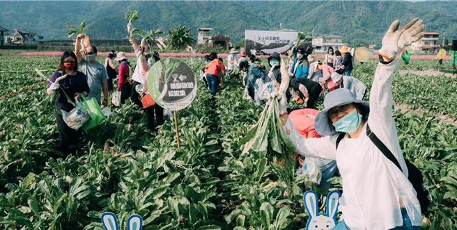 美浓区农会表示，以往白玉萝卜季活动约在11月中旬登场，今年受到农民延后栽种影响，整体产季及活动都顺延约1个月，萝卜季活动延后到12月中下旬举行，採萝卜体验也首度延到跨年至2025年1月底。（美浓区农会提供／林雅惠传真）