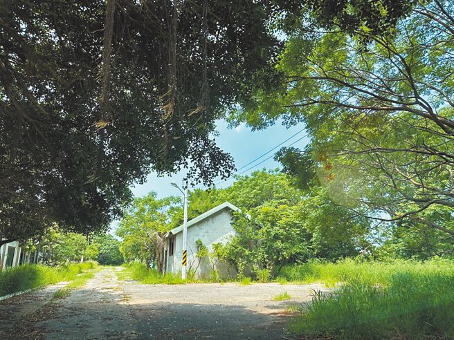 台中市政府將7.2公頃大的大甲美人山舊營區規畫為公園預定地，但遭地方質疑長年來無實質發展淪為荒地，市府運動局12日指出，將分階段活化，以開放式公園為目標，最快明年開放啟用。（李京昇攝）