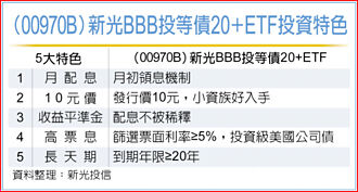 新光BBB投等債20＋ 12／2募集