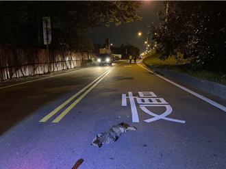 機車閃貓慘釀1死1重傷！死者身分曝光   為台中某科大男學生