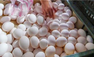 退休軍官貼文「毒蛋入侵南台灣」　法官認定「非刻意」判無罪