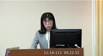 公投綁大選？反對和贊成兩派學者專家論戰