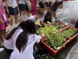 學校參訪要「拔菜」？中韓食農交流 韓國學生大讚蚵仔煎