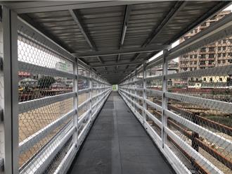 三峽長福橋增設人行廊道明開放通行 縮短15分鐘繞路時間