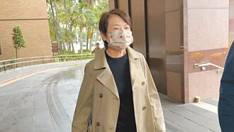 藍版憲法訴訟法 白喊團進團出