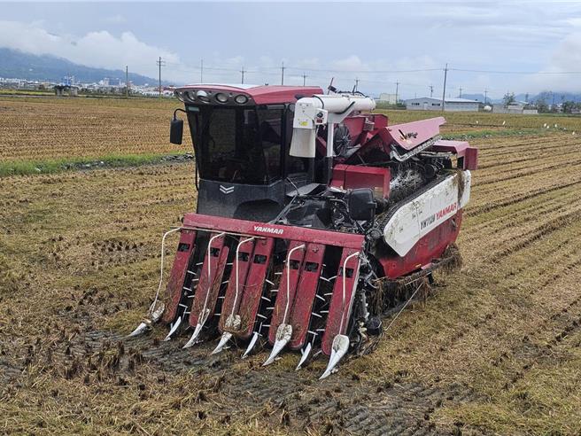 天兔颱風進逼，花蓮中南區農友漏夜搶收稻米。（農民提供／王志偉花蓮傳真）