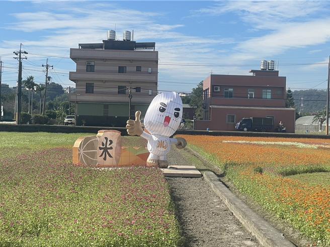 2024大溪水岸花卉农游，11月16日至24日热闹登场。（吕筱蝉摄）