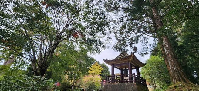 林业保育署嘉义分署呼吁民眾，颱风期间暂勿前往山区、步道，应密切注意气象交通资讯，留心自身安全。（林业署嘉义分署提供／吕妍庭嘉义传真）