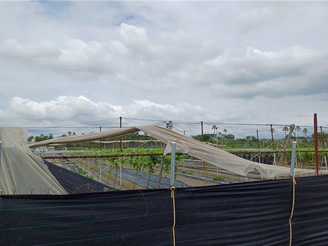 罕见秋颱「天兔」来势汹汹，屏东县政府宣布15日上班上课，但县长周春米仍呼吁要做好防颱准备。（屏县府提供／谢佳潾屏东传真）