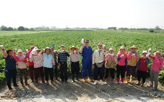 台南晶英「永续岛屿餐桌」合作伙伴-台南学甲幸福千千岁，由平均年龄70岁的农友组成，以永续耕作为品牌精神。(台南晶英酒店提供)