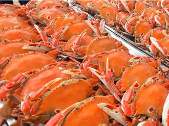 萬里蟹季開跑！淡水漁人碼頭「螃蟹肥了」特賣 快來搶鮮