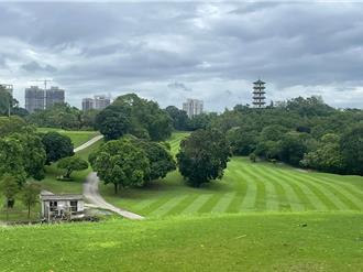 高雄球場突喊停業！會員組自救會怨：剛花300多萬買球證