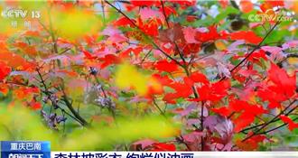 大陸山河初冬風景五彩斑斕似畫卷  吸引眾多遊客打卡