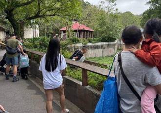 男子闖木柵動物園挑釁鬣狗 網友：想看他滑倒