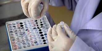 藥華藥：樂看營收、獲利季季增