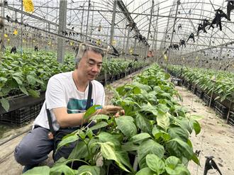 協助部落架設網路、導入智慧農業 林宗宏教授深耕數10年