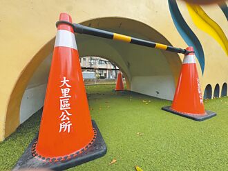 玩大象溜滑梯 台中男童撞破头