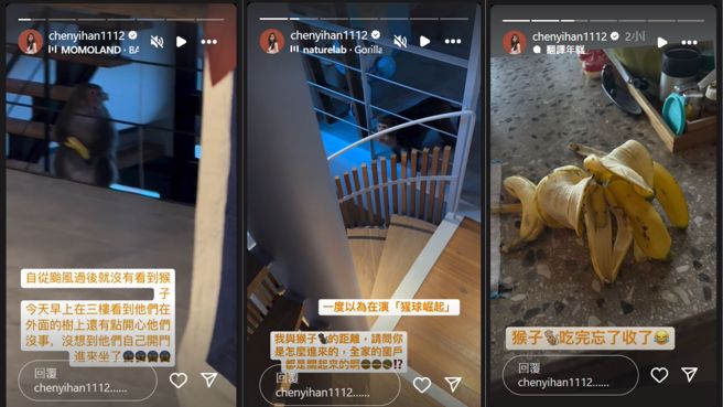 陈意涵17日在限动表示有猴子闯入家中吃香蕉。（图／翻摄自陈意涵IG）