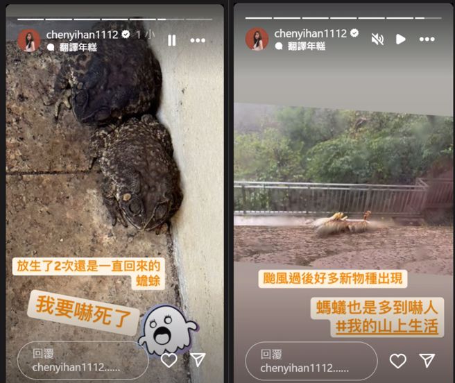 她接连又晒出蟾蜍、毛毛虫的照片，直呼「一早到底还要看到多少动物」。（图／翻摄自陈意涵IG）