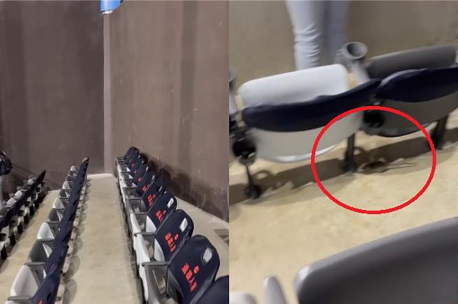 世界棒球12強賽台日大戰16日晚間開打，不過有外野區球迷發現老鼠亂竄。遠雄17日上午回應，已針對特定區域清消，造成民眾不適體驗非常抱歉。（Threads＠jjlin_1108授權）