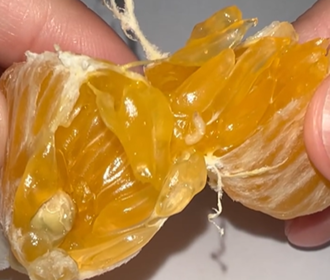 有网友拨开橘子，发现里面有虫在蠕动。（翻摄自Threads）