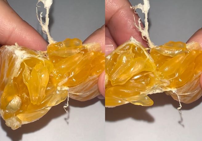 橘子里面有虫到处爬来爬去，跟旁边另一只小虫会合。（翻摄自Threads）