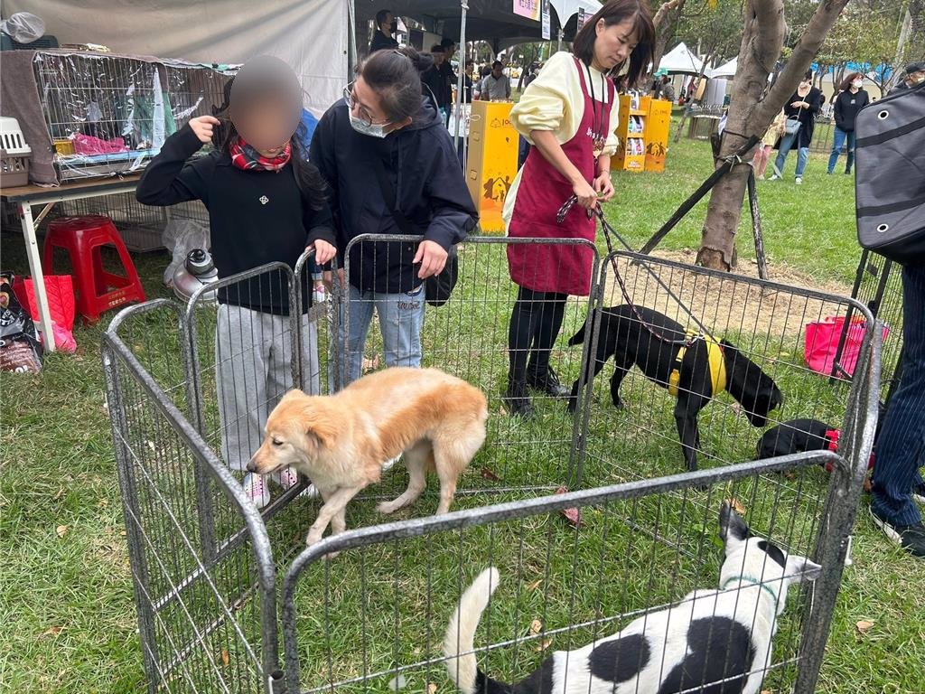 現場有動物之家可愛的犬貓提供民眾認養。（新北市動保處提供）