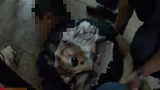 新北耶誕城男子不服盤查 對警飆粗口遭壓制帶回