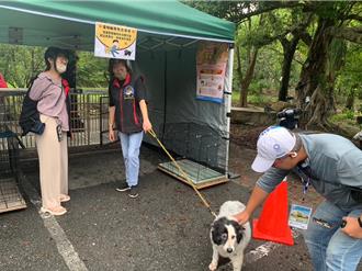 花蓮寵物保姆協會推「緊急避難寵物收容」獲防救災表揚