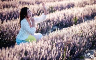 桃園仙草嘉年華登場！打造台版普羅旺斯 紫色花海浪漫盛開