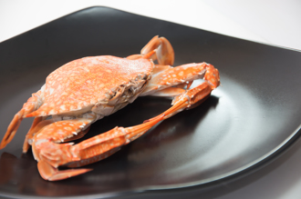 金山吃花蟹「四隻破6千元」太貴？他嘆不如吃龍蝦 行情價曝光