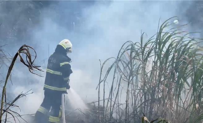 金门有部分民眾常便宜行事，未经许可即引火燃烧杂草。（民眾提供）