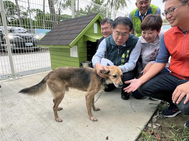 台南市动保处在仁德区成功里建置全台第一个游荡犬暂置区「毛孩森活村」18日正式启用，提供已驯化的仁德区游荡犬临时安置，以便顺利找到新主人认养。（洪荣志摄）