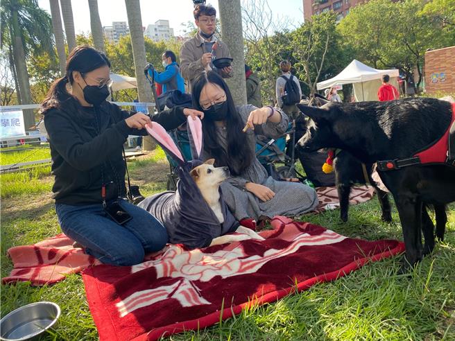民眾可与毛宝贝在板桥车站站前广场公园绿地享受耶诞野餐。（新北市动保处提供）