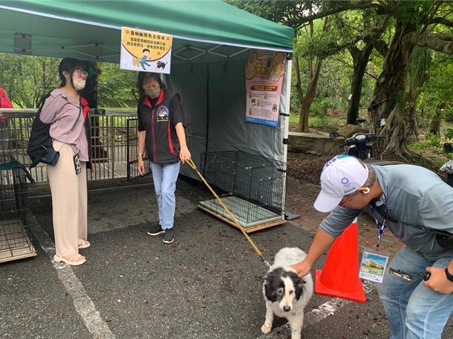 毛小孩緊急避難收容議題備受關注，社團法人台灣寵物保姆協會10月26日在花蓮社區辦理寵物收容實兵演練，建立緊急避難收容的SOP，獲得花蓮縣政府防救災績優單位表揚。（台灣寵物保姆協會秘書長王維俊提供／羅亦晽花蓮傳真）