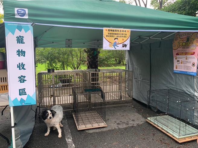 毛小孩緊急避難收容議題備受關注，社團法人台灣寵物保姆協會10月26日在花蓮社區辦理寵物收容實兵演練，建立緊急避難收容的SOP，獲得花蓮縣政府防救災績優單位表揚。（台灣寵物保姆協會秘書長王維俊提供／羅亦晽花蓮傳真）