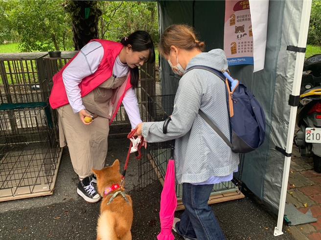 毛小孩緊急避難收容議題備受關注，社團法人台灣寵物保姆協會10月26日在花蓮社區辦理寵物收容實兵演練，建立緊急避難收容的SOP，獲得花蓮縣政府防救災績優單位表揚。（台灣寵物保姆協會秘書長王維俊提供／羅亦晽花蓮傳真）
