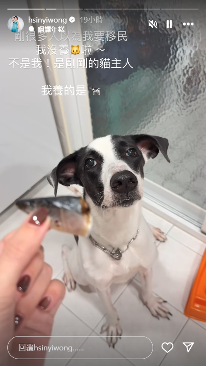 翁馨仪PO文解释，移民的是猫主人而非她。(翁馨仪IG)