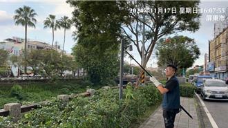 屏东爆绿鬣蜥弊案恐有「空窗期」 县长承诺经费无上限：全力捕捉