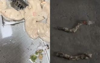 排水孔堵住冒「白色条状软物」 陆女愣：还通出另外2条