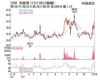 熱門股－系統電 買盤湧進站穩均線