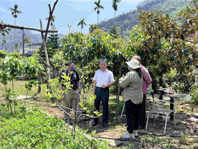為推動農業部「找回原力－原鄉生態永續新農業核心技術研發與擴散」計畫，高雄區農業改良場攜手在地部落蒐集種原、建置保種圃，扎根原鄉並無償協助繁殖種原及輔導栽培技術。(農業部提供)