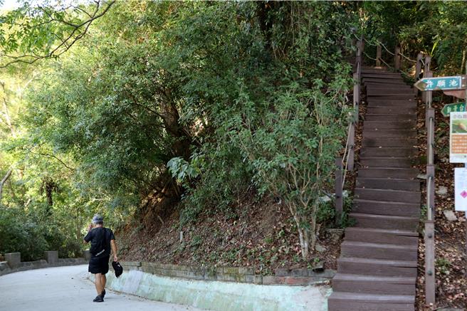 台中市大肚區瑞井登山步道、潭子新田登山步道等，去年8、9月受颱風影響，步道設施受損，市府投入1842萬元災害準備金修復，預計11月底完工。圖為新田步道。（中市府提供／潘虹恩台中傳真）